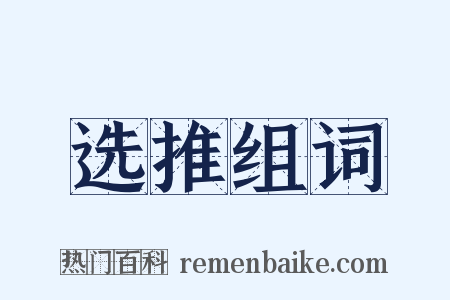 选推组词是什么意思的图片